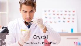  Presentation with butterfly - Amazing presentation theme having wildlife science lab - scientist entomologist studying new butterfly backdrop and a lemonade colored foreground