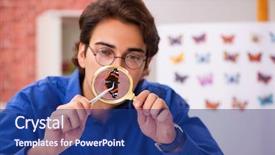  Presentation with butterflies - Slide set having wildlife science lab - student entomologist studying new species background and a navy blue colored foreground