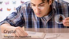  Presentation with student - Colorful presentation theme enhanced with wildlife science lab - student entomologist studying new species backdrop and a coral colored foreground