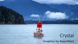  Presentation with lions - PPT layouts having wildlife sea lions on buoy background and a light blue colored foreground