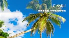  Presentation with woods - Beautiful presentation featuring wilds woods palms backdrop and a teal colored foreground