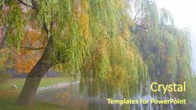  Presentation with wetland - Slide set enhanced with willow - wetland - dog background and a tawny brown colored foreground