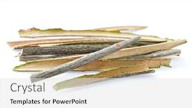  Presentation with close up of bark - PPT layouts featuring willow-bark-in-closeup background and a light gray colored foreground