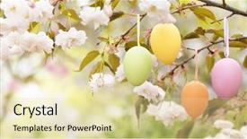  Presentation with tree - Slide set with willow pattern - easter eggs decorated on blooming background and a  colored foreground