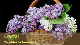  Presentation with willow tree - Colorful presentation design enhanced with willow tree - lilac bouquet in a wattled backdrop and a tawny brown colored foreground