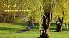  Presentation with part time job during studies - Colorful slides enhanced with willow tree - michigan state park during spring backdrop and a tawny brown colored foreground