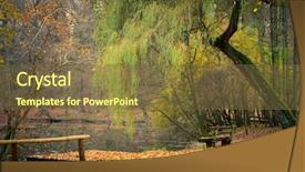  Presentation with willow tree - Slides featuring willow tree - pond in the autumn park background and a tawny brown colored foreground