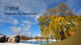  Presentation with winter landscape winter tree - Cool new presentation theme with willow tree - scenic winter landscape backdrop and a teal colored foreground