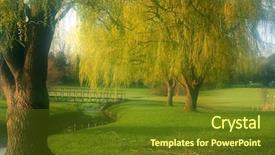  Presentation with tree river - PPT theme with willow trees by the river background and a tawny brown colored foreground