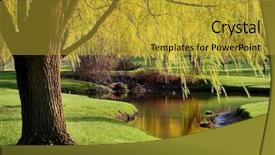  Presentation with tree river - Presentation theme having willow trees by the river background and a gold colored foreground