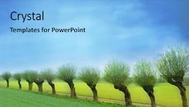 Presentation with willow tree - Amazing theme having willow backdrop and a light blue colored foreground