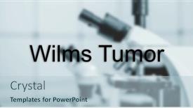  Presentation with medical concept - Presentation featuring wilms-tumor-wilms-tumor-text background and a light blue colored foreground