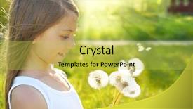  Presentation with summer - PPT layouts consisting of wind blowing trees - summer wishes background and a  colored foreground