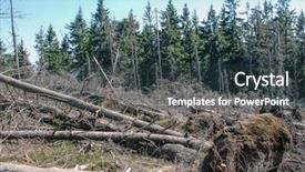  Presentation with snails and forest - Audience pleasing slides consisting of wind damage - windfalls and windbreaks backdrop and a tawny brown colored foreground
