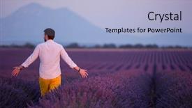  Presentation with lavander - Theme enhanced with wind in purple lavander background and a light blue colored foreground