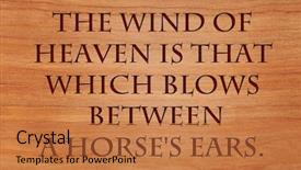  Presentation with proverb - Beautiful PPT theme featuring catalyst - wind of heaven is that backdrop and a coral colored foreground