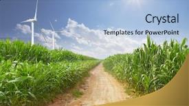  Presentation with wind power plant - Beautiful theme featuring wind power plant and corn backdrop and a light blue colored foreground