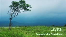  Presentation with storm clouds - PPT theme enhanced with wind storms cyclones - alone tree with storm clouds background and a tawny brown colored foreground