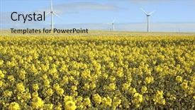  Presentation with newton - Colorful presentation enhanced with flock of canada geese inter the water two by two note slight blurriness best at smaller sizes backdrop and a gray colored foreground