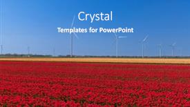  Presentation with wind turbines - Slides with wind-turbines-with-tulip-field background and a teal colored foreground