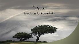  Presentation with apple trees are blooming pink - PPT layouts featuring windblown pine trees under moody background and a light gray colored foreground