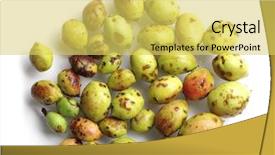  Presentation with hail - Colorful slides enhanced with windfall - damage peach nectarine fruits backdrop and a yellow colored foreground