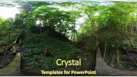  Presentation with ravine - Beautiful PPT theme featuring windfall - ravine in the forest covered backdrop and a  colored foreground