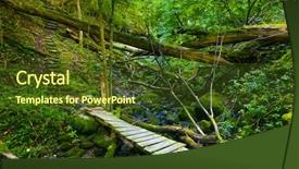  Presentation with ravine - Audience pleasing slides consisting of windfall - ravine in the forest covered backdrop and a  colored foreground