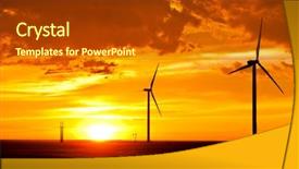  Presentation with dog cat sunset - Amazing theme having old gray corrugated fibre cement backdrop and a gray colored foreground