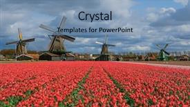  Presentation with it architecture - PPT theme enhanced with windmills and flowers in netherlands background and a teal colored foreground