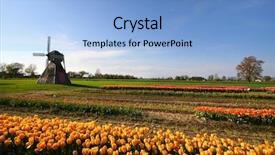  Presentation with dutch bank - Presentation with windmill and dutch tulip gardens background and a  colored foreground