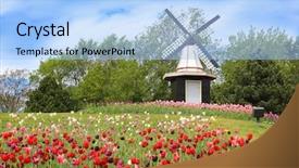 Presentation with windmill - Audience pleasing PPT theme consisting of windmill on the hill backdrop and a light blue colored foreground