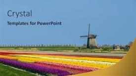  Presentation with windmill - Presentation design with windmill-with-tulip-field background and a light blue colored foreground
