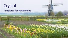  Presentation with windmill - Cool new PPT theme with close-up of womans feet getting pedicure treatment note shallow depth of field backdrop and a lemonade colored foreground