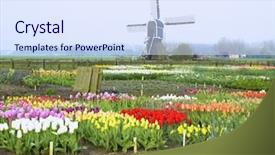  Presentation with windmill australia - Beautiful presentation theme featuring family holding passports and board backdrop and a tawny brown colored foreground