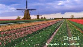  Presentation with windmills - Cool new theme with windmills-and-flowers-in-netherlands backdrop and a tawny brown colored foreground