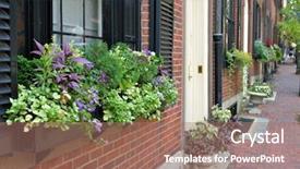  Presentation with boston - Presentation theme having window box in beacon hill background and a coral colored foreground