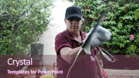  Presentation with wash - Amazing slide deck having window cleaner using a squeegee to wash a window backdrop and a tawny brown colored foreground