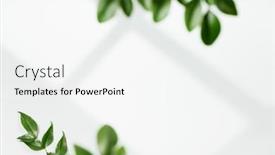  Presentation with posters - PPT theme having window-shadow-on-white-wall background and a white colored foreground