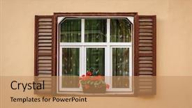  Presentation with flower 3d animation - Presentation theme having window with shutters and flower background and a coral colored foreground