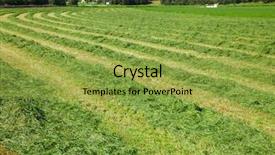  Presentation with rural - PPT theme featuring windrows of freshly cut background and a yellow colored foreground