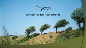  Presentation with cost - Slide deck featuring windswept trees at the cost background and a  colored foreground