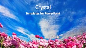  Presentation with pink sky - Presentation design featuring windy day in may background and a teal colored foreground