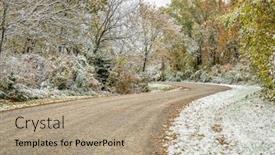  Presentation with forest road - Amazing presentation having windy-gravel-road-through-forest backdrop and a coral colored foreground