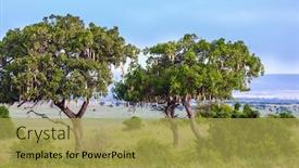  Presentation with african sunset - Cool new theme with windy-spring-day-african-savannah backdrop and a yellow colored foreground