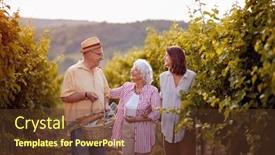  Presentation with grape vine wine grapes - PPT layouts consisting of wine and grapes family tradition harvesting grapes smiling winegrower family in vineyard background and a tawny brown colored foreground