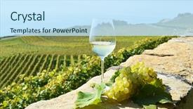  Presentation with switzerland - PPT theme with wine and grapes lavaux switzerland background and a cool aqua colored foreground