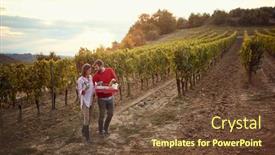  Presentation with vineyard - Slide set featuring wine and grapes smiling couple harvesting grapes in vineyard background and a tawny brown colored foreground