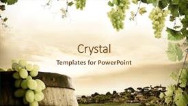  Presentation with wine barrel - Colorful slides enhanced with wine barrel grapes and vineyard backdrop and a cream colored foreground