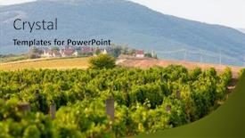  Presentation with hungary - PPT layouts consisting of wine-cellars-in-bukkzserc-hungary background and a light blue colored foreground